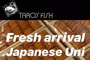 Taros Fish Japanese Uni