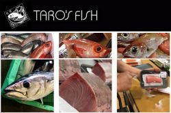 Taros Fish Markham