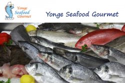 Yonge Seafood Gourmet Toronto