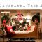 Jacaranda Tree and Co Toronto