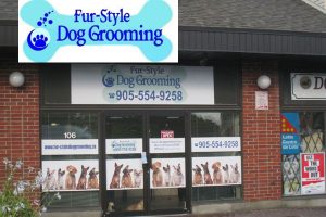 Fur-Style Dog Grooming - Markham, Ontario