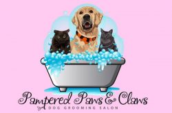 Pampered-Paws-&-Claws-𝒮𝓉-𝒞𝓁𝒶𝒾𝓇-𝒲𝑒𝓈𝓉-𝒯𝑜𝓇𝑜𝓃𝓉𝑜
