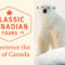 Classic Canadian Tours: Calgary Based Wildlife Tour Operator