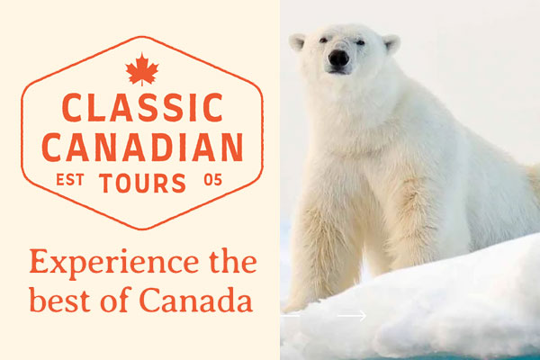 Classic Canadian Tours: Calgary Based Wildlife Tour Operator