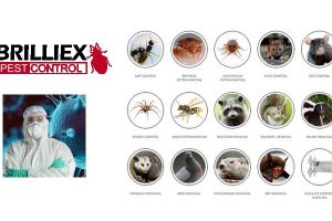 Brilliex-Pest-Control