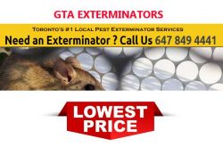 GTA Exterminators Toronto