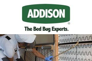 Addison Pest Control - Toronto Bed Bug Exterminator