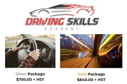 Driving Skills Academy