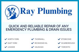 Ray Plumbing Toronto