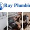 Ray Plumbing Toronto