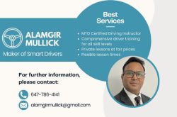 Alamgir Mullick Driving Instructor