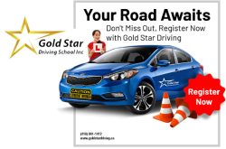 Gold Star Driving School Inc