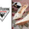 Fluevog Shoes for Women - Heels